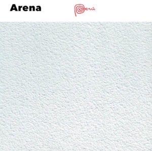 Arena